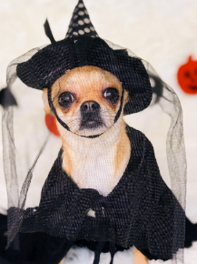 Picture for category Halloween Fun